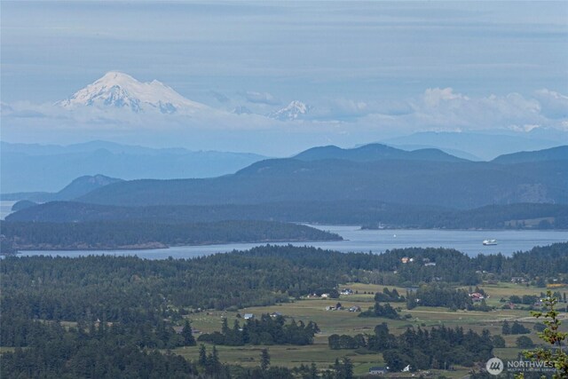 2001 Mount Dallas Rd, Friday Harbor, WA 98250