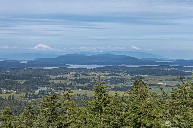 2001 Mount Dallas Rd, Friday Harbor, WA 98250
