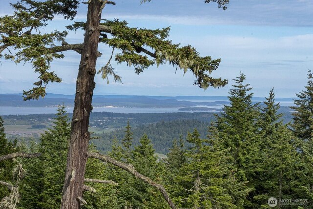 2001 Mount Dallas Rd, Friday Harbor, WA 98250