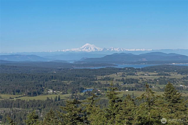 2001 Mount Dallas Rd, Friday Harbor, WA 98250