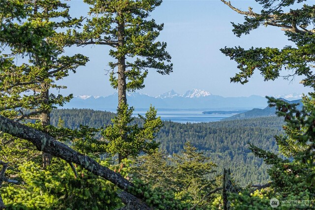 2001 Mount Dallas Rd, Friday Harbor, WA 98250