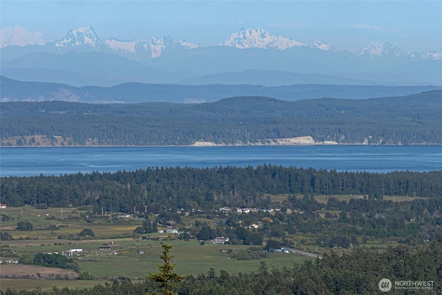 2001 Mount Dallas Rd, Friday Harbor, WA 98250