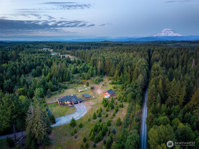 39505 Highland Dr E, Roy, WA 98580 - photo 32