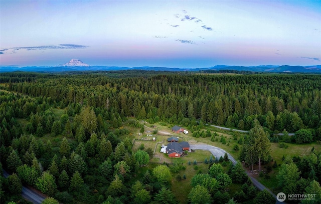 39505 Highland Dr E, Roy, WA 98580 - photo 35