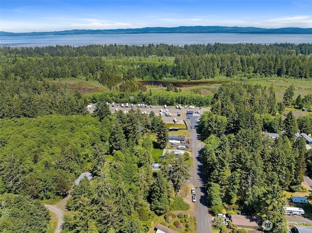 1905 324th Pl, Ocean Park, WA 98640