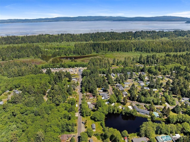 1905 324th Pl, Ocean Park, WA 98640