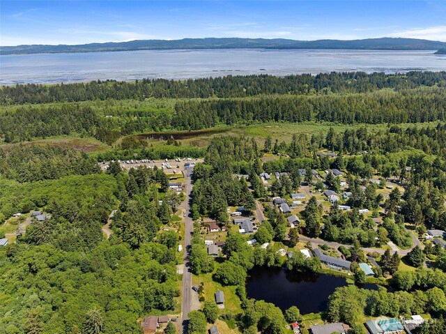 1905 324th Pl, Ocean Park, WA 98640 - photo 14