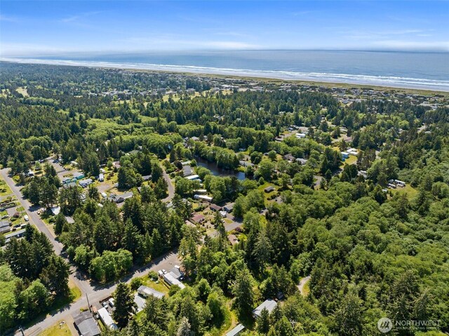 1905 324th Pl, Ocean Park, WA 98640 - photo 16