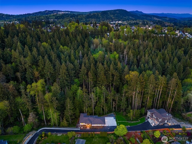 12009 SE 81st Ln, Newcastle, WA 98056 - photo 4