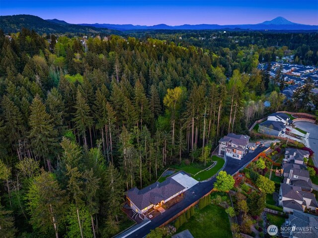 12009 SE 81st Ln, Newcastle, WA 98056 - photo 36
