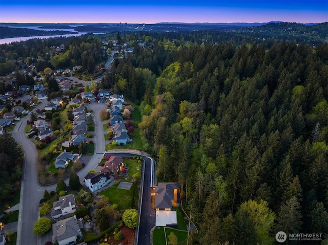 12009 SE 81st Ln, Newcastle, WA 98056 - photo 38