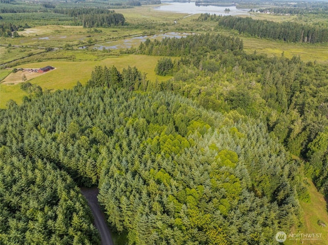 0LOT17 Grand Ridge Rd, Toutle, WA 98649 - photo 2