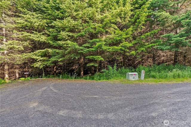 0LOT17 Grand Ridge Rd, Toutle, WA 98649 - photo 3