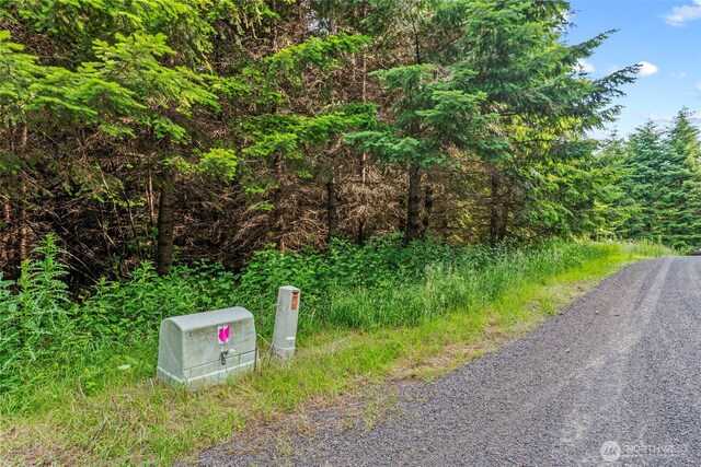 0LOT17 Grand Ridge Rd, Toutle, WA 98649 - photo 4