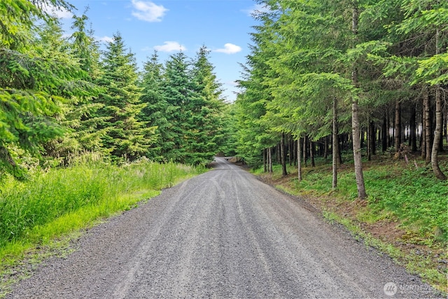 0LOT17 Grand Ridge Rd, Toutle, WA 98649 - photo 5
