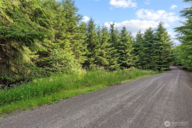 0LOT17 Grand Ridge Rd, Toutle, WA 98649 - photo 6