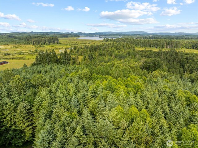 0LOT17 Grand Ridge Rd, Toutle, WA 98649 - photo 7