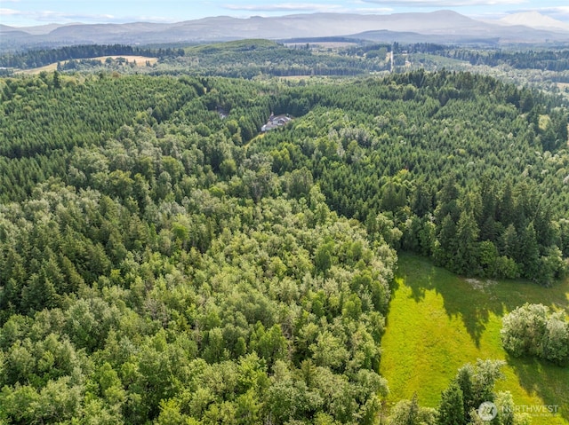 0LOT17 Grand Ridge Rd, Toutle, WA 98649 - photo 9