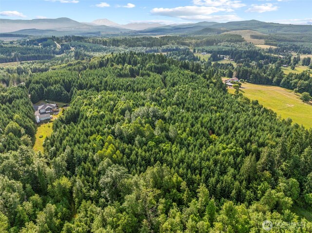 0LOT17 Grand Ridge Rd, Toutle, WA 98649 - photo 10