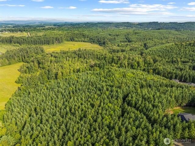0LOT17 Grand Ridge Rd, Toutle, WA 98649 - photo 11