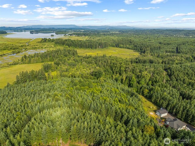0LOT17 Grand Ridge Rd, Toutle, WA 98649 - photo 12