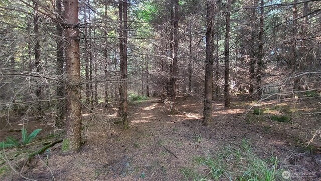 0LOT17 Grand Ridge Rd, Toutle, WA 98649 - photo 16