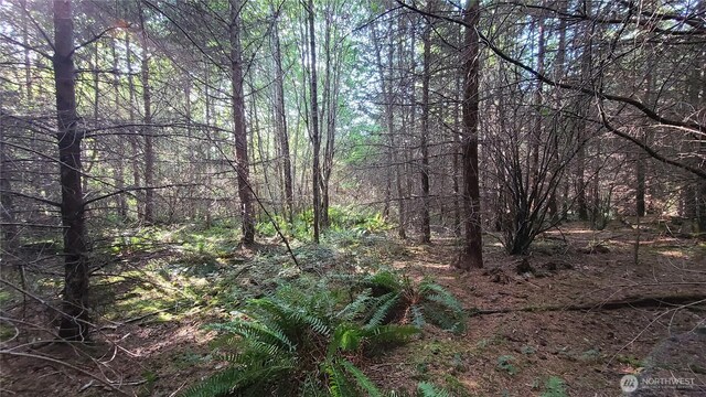0LOT17 Grand Ridge Rd, Toutle, WA 98649 - photo 17