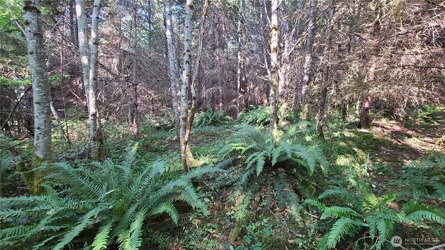 0LOT17 Grand Ridge Rd, Toutle, WA 98649 - photo 19