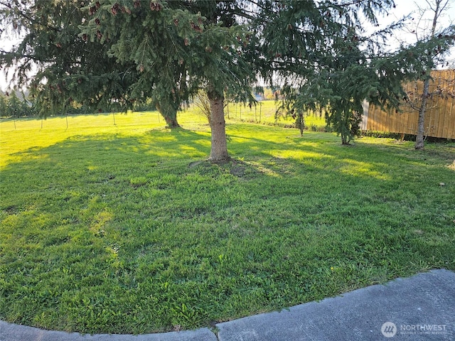 20025 Carper Rd SW, Rochester, WA 98579 - view of grassy yard