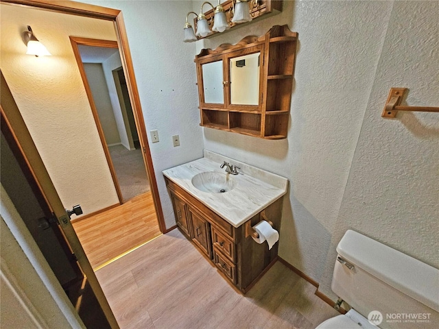20025 Carper Rd SW, Rochester, WA 98579 - bathroom with wood finished floors, vanity, toilet, and a textured wall