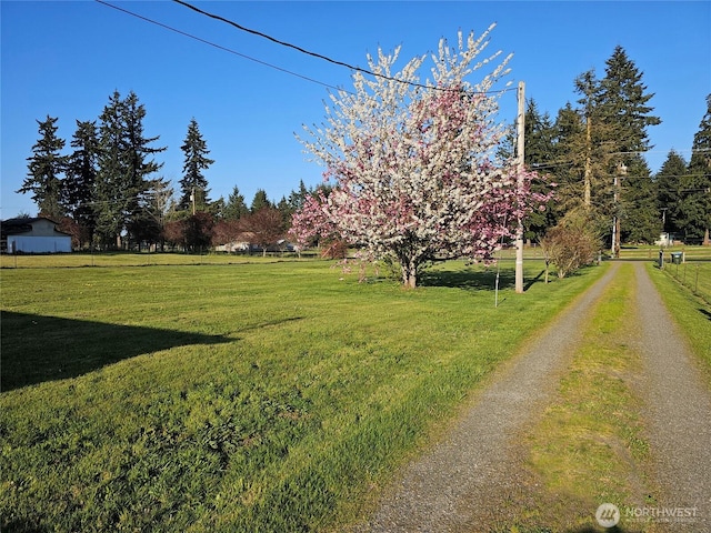 20025 Carper Rd SW, Rochester, WA 98579 - view of road