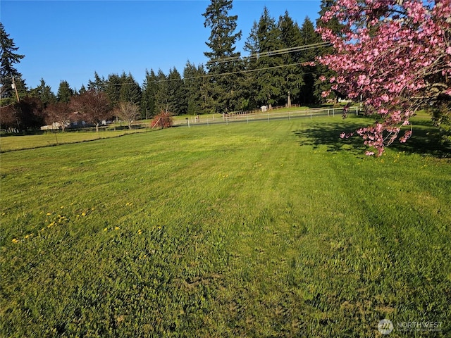 20025 Carper Rd SW, Rochester, WA 98579 - view of yard