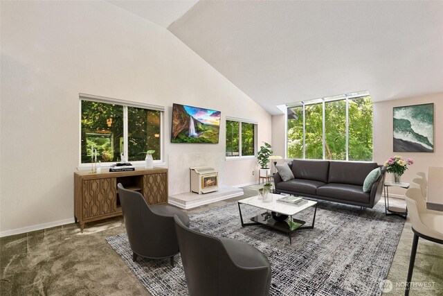 10008 50th Pl W, Mukilteo, WA 98275 - living area with a wood stove and high vaulted ceiling