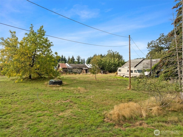 1921 Taylor St, Centralia, WA 98531 - view of green lawn