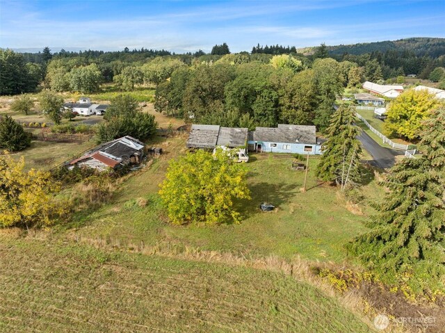 1921 Taylor St, Centralia, WA 98531 - drone / aerial view of a forest