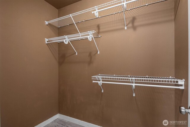 7321 47th Ave SW Unit B, Seattle, WA 98136 - view of walk in closet