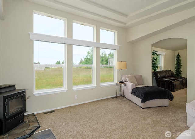 155 Triopha Ln, Sequim, WA 98382 - carpeted living room featuring a wood stove, arched walkways, and plenty of natural light