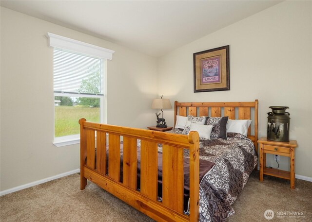 155 Triopha Ln, Sequim, WA 98382 - carpeted bedroom featuring baseboards