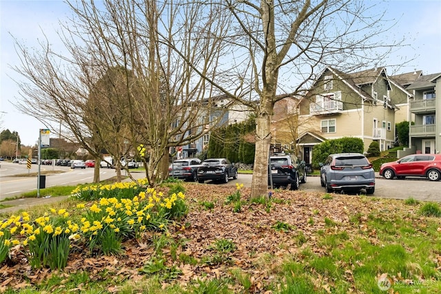 5907 40th Ave SW Unit B, Seattle, WA 98136 - view of yard