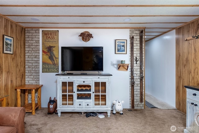 118 Silver Tip Ln, Packwood, WA 98361 - living room with carpet flooring and wood walls
