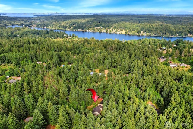 7302 Phillips Rd SE, Port Orchard, WA 98367 - view of property location featuring a forest and a large body of water