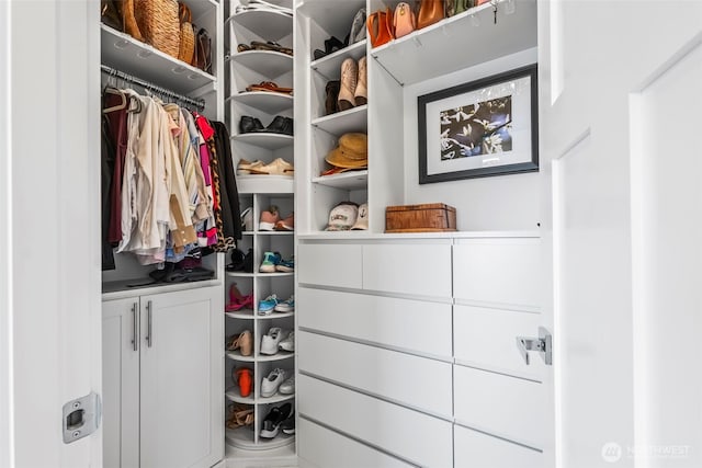 9418 165th Avenue Ct SW, Longbranch, WA 98351 - view of walk in closet