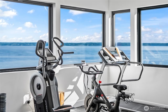 9418 165th Avenue Ct SW, Longbranch, WA 98351 - exercise area featuring a water view and healthy amount of natural light
