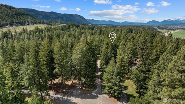 8607 Upper Peoh Point Rd, Cle Elum, WA 98922 - photo 36