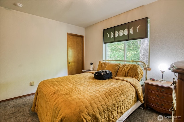 401 Draconis Ave SE, Ocean Shores, WA 98569 - bedroom with dark carpet and baseboards