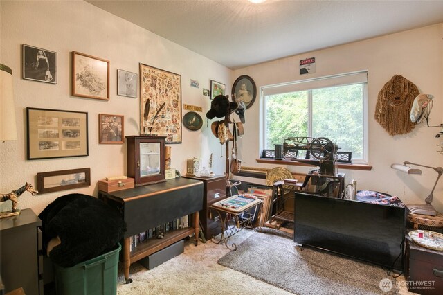 401 Draconis Ave SE, Ocean Shores, WA 98569 - view of carpeted office space