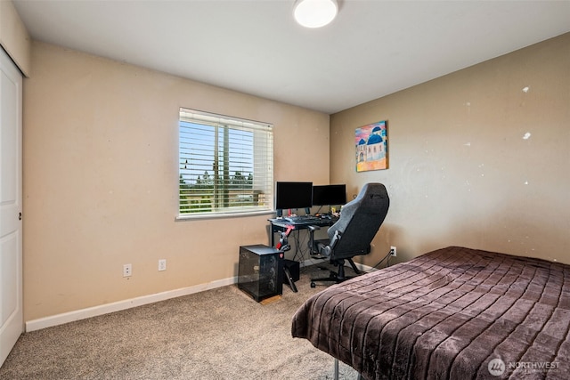 10089 Jensen Dr SE, Yelm, WA 98597 - carpeted bedroom with baseboards