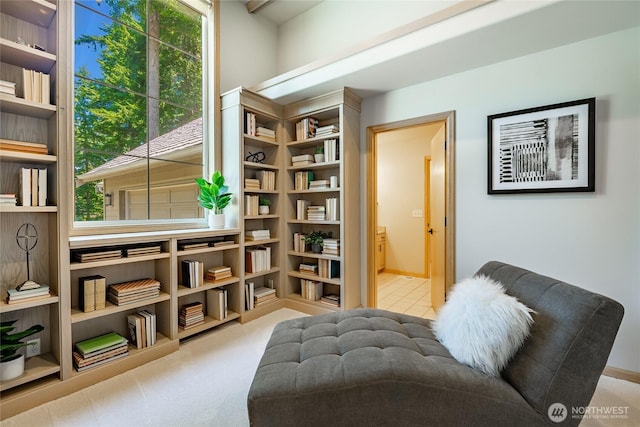 5520 Canvasback Rd, Blaine, WA 98230 - living area with carpet floors