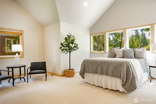 5520 Canvasback Rd, Blaine, WA 98230 - bedroom featuring multiple windows, carpet flooring, lofted ceiling, and baseboards
