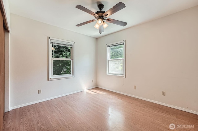 8514 13th Ave NW, Seattle, WA 98117 - photo 13